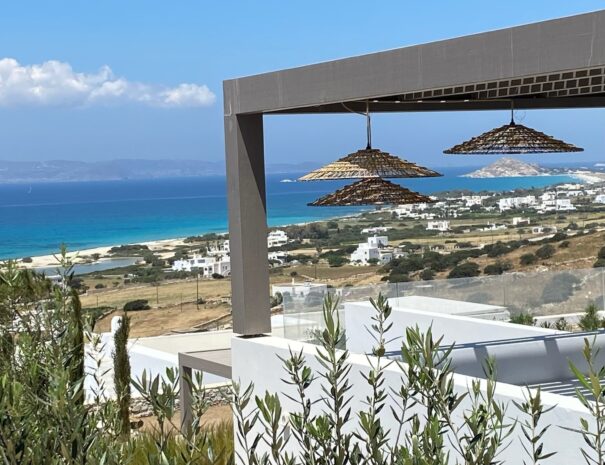 0110c5731d2e0fdef0123f45c4e3804dcc1cc605ae