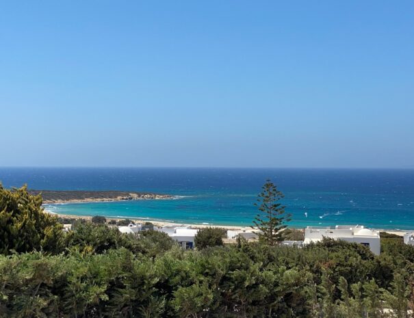 013480491e753382583eba297da544798199786081