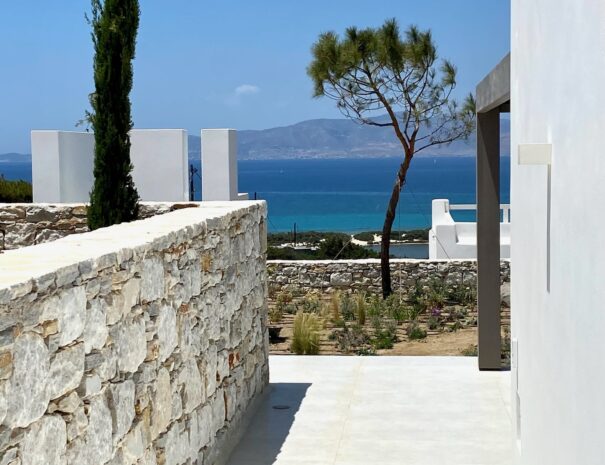 013d677561a75eeb27ab33b8ab4ae81485230acc62